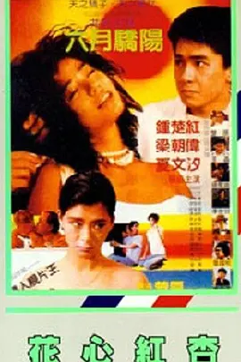 成人在线精品