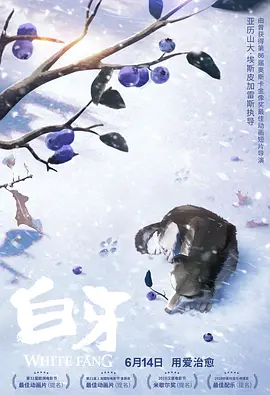 欧美乱一区