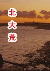 伊人久久大